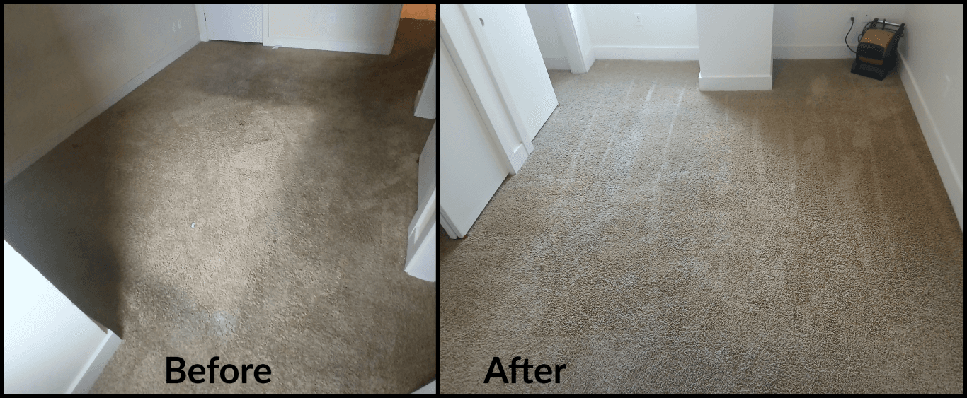 Carpet Cleaning